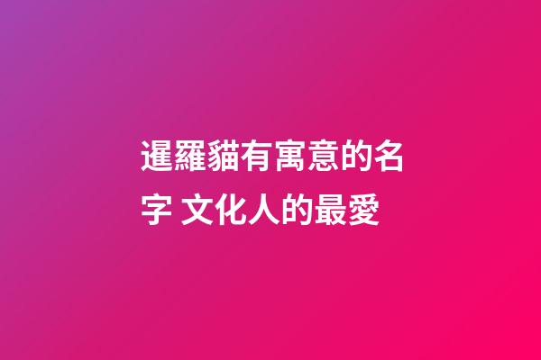 暹羅貓有寓意的名字 文化人的最愛